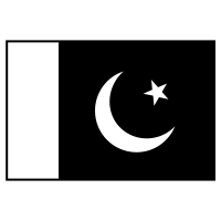 About pakistani flag icon